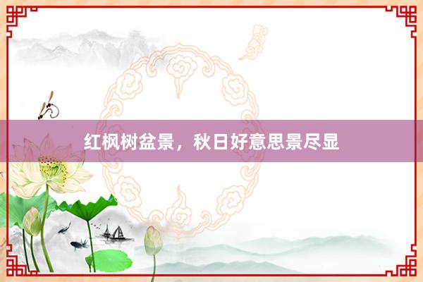 红枫树盆景，秋日好意思景尽显